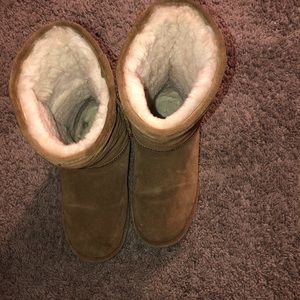 Tan bear paws